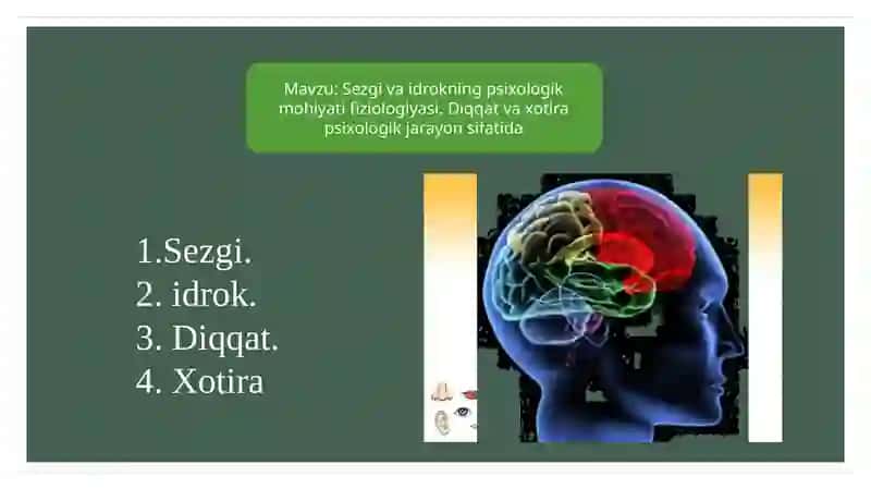 Sezgi va idrokning psixologik mohiyati 2