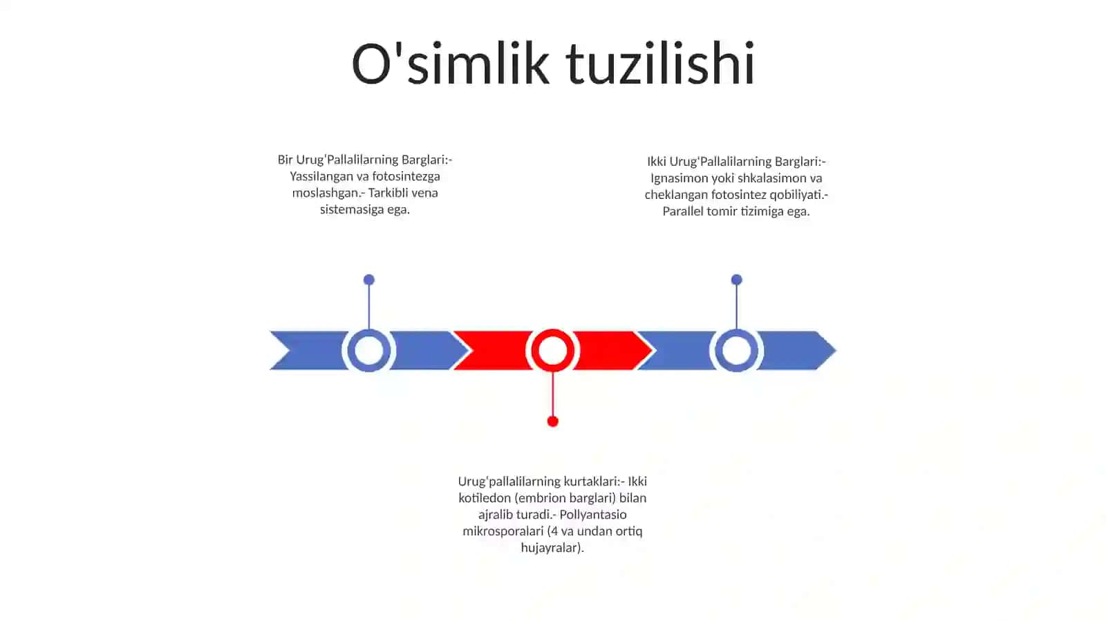 O'simlik tuzilishi 2
