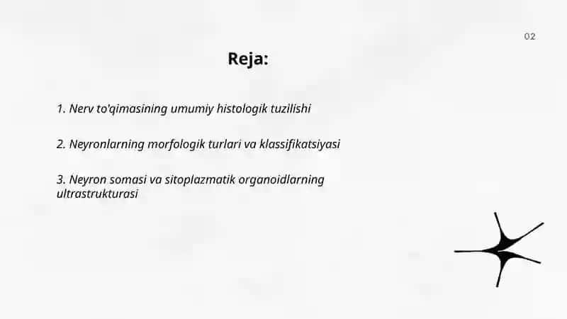 Nerv to'qimasi 2