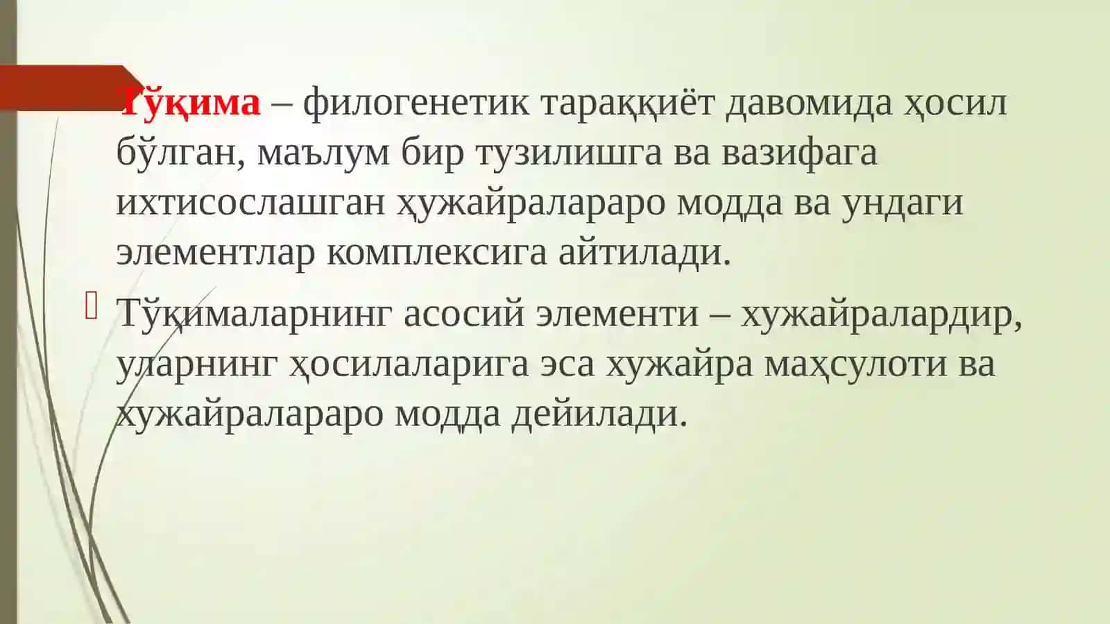 ЭПИТЕЛИЙ ВАБИРИКТИРУВЧИ ТЎҚИМА 2