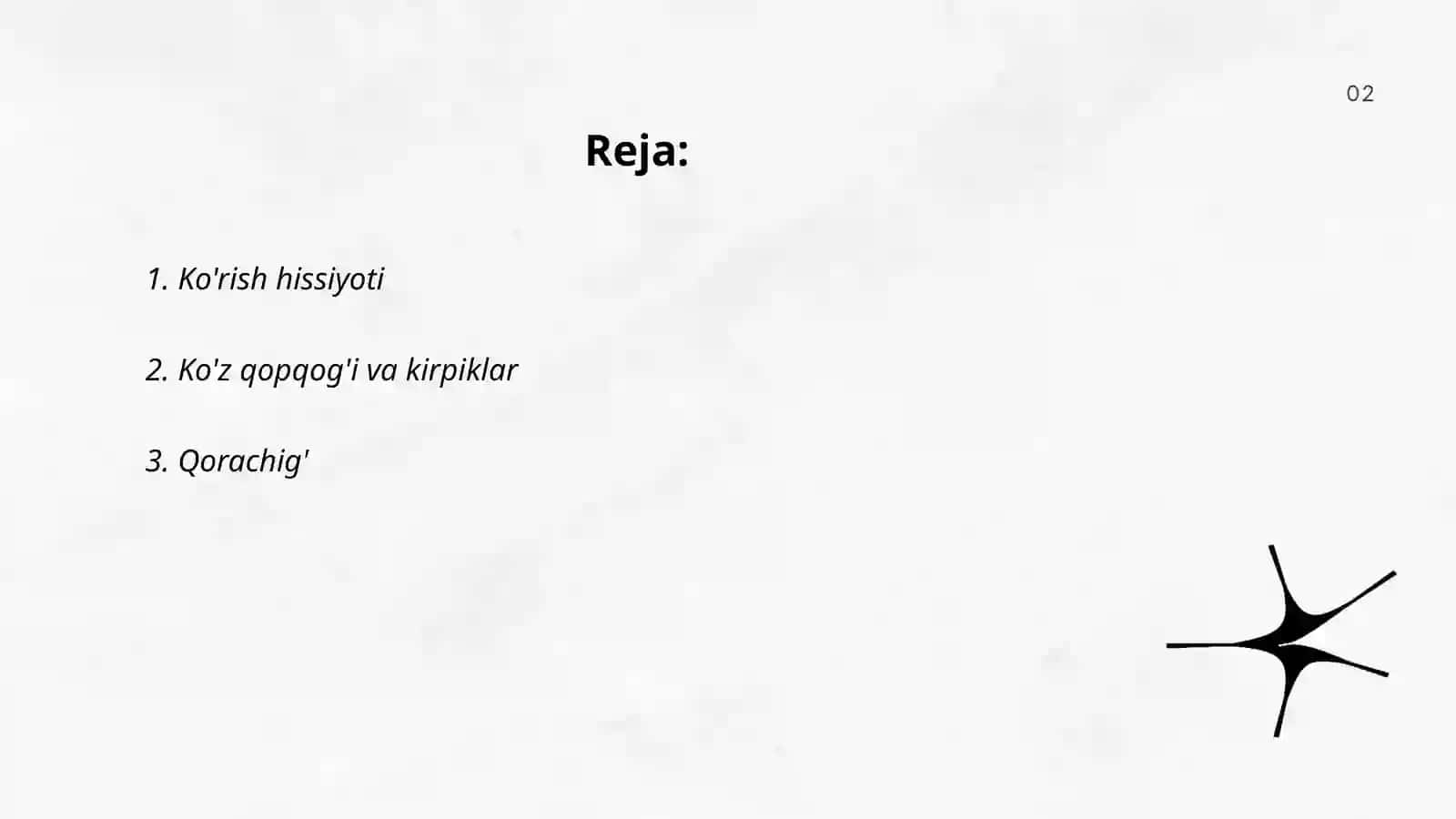 Ko'rish hissiyoti 2
