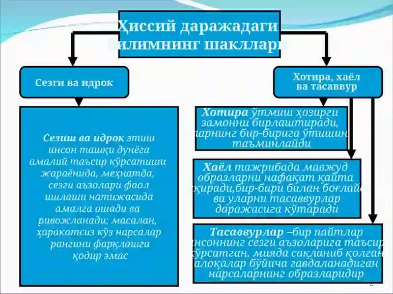 Хотира, хаёл ва тасаввур 2