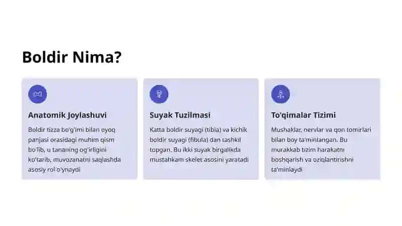 Boldir Mushaklari: Tuzilishi va Funktsiyasi 2