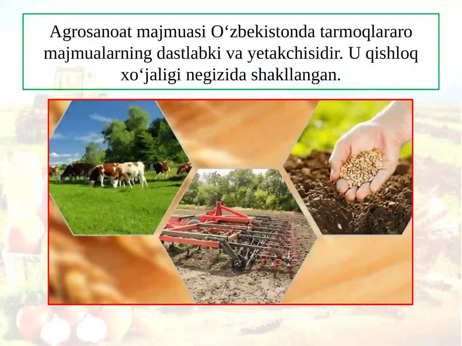AGROSANOATMAJUMASI 2