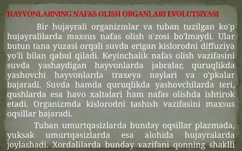 HAYVONLARNING NAFAS OLISH ORGANLARI EVOLUTSIYASI 2