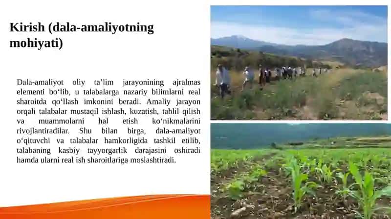 Dala-amaliyotning mazmuni 2