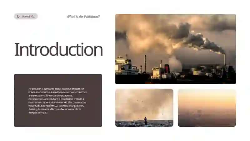 Air Pollution: Causes, Effects, and Solutions 2