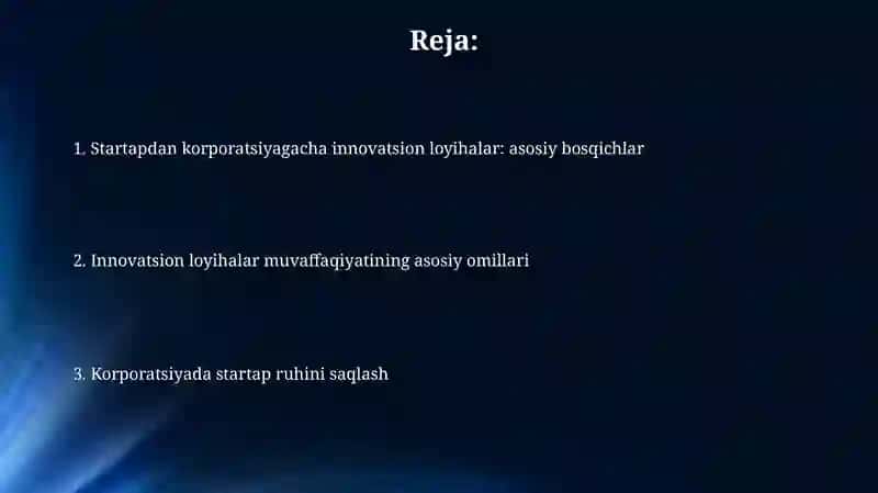 Innovatsion loyihalar 2
