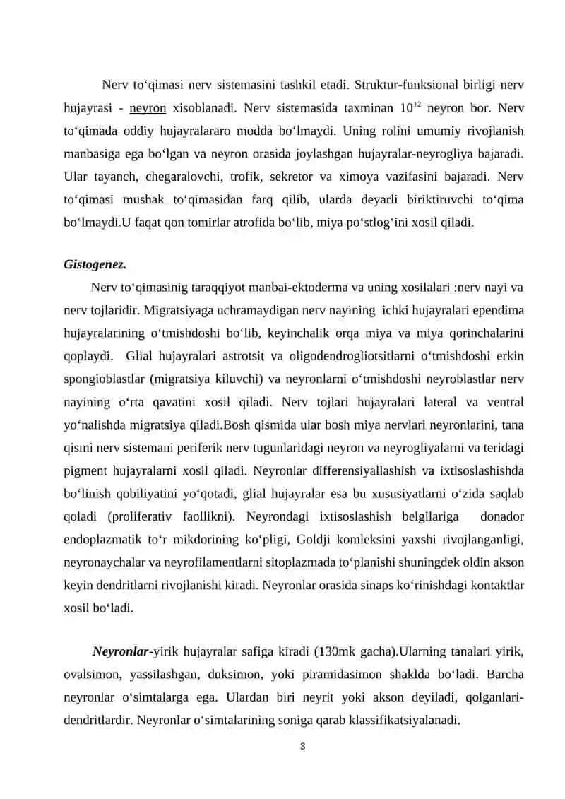 Nerv hujayrasining tuzilishi 2