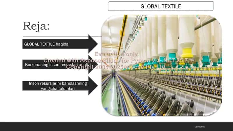 Global Textile inson resurslari analizi 2