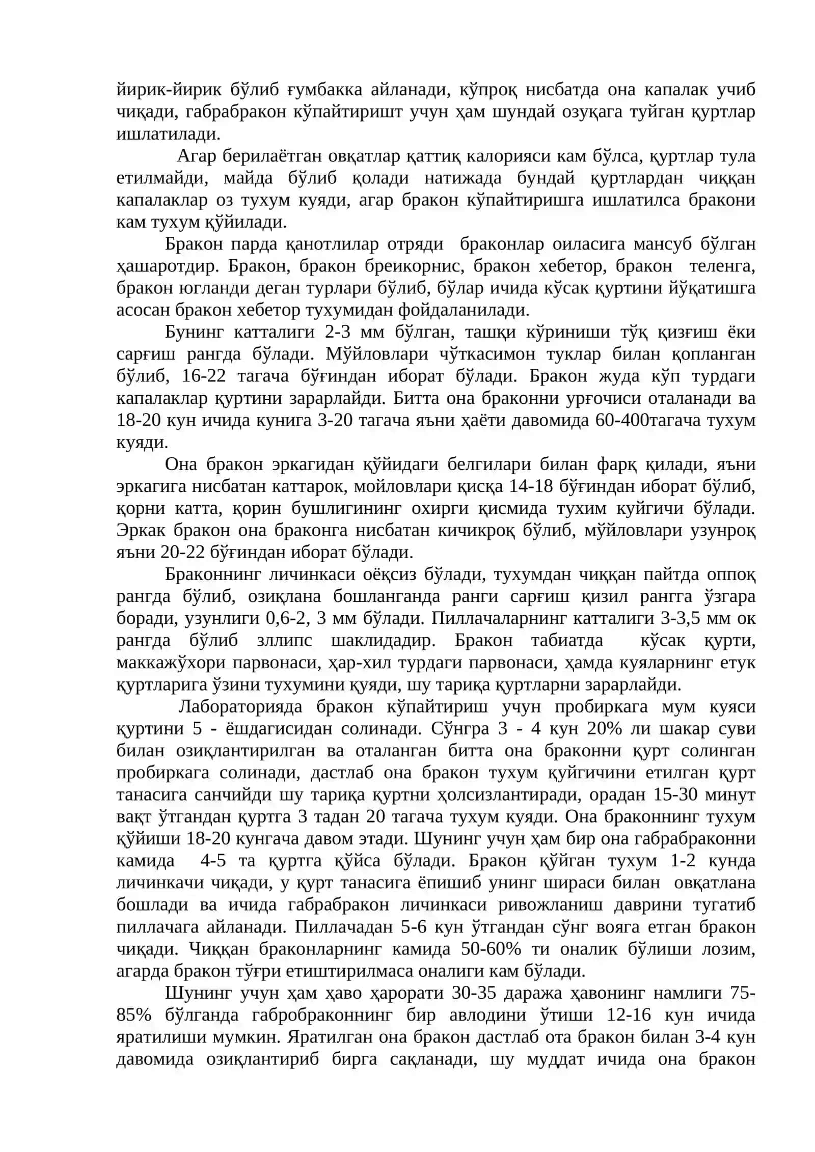 Мум куяси қуртгичи 2
