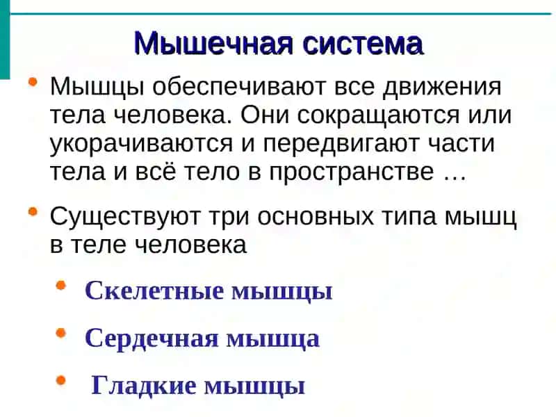 Общая миология 2