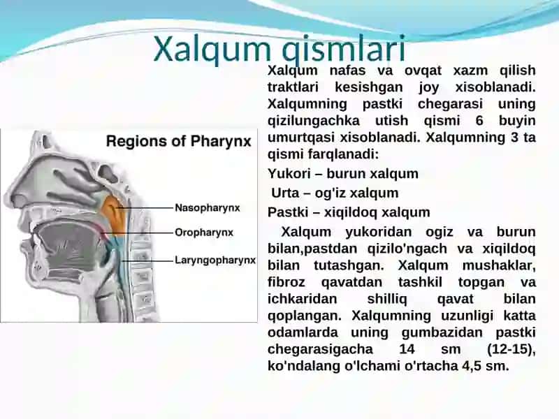 Xalqum qismlari 2