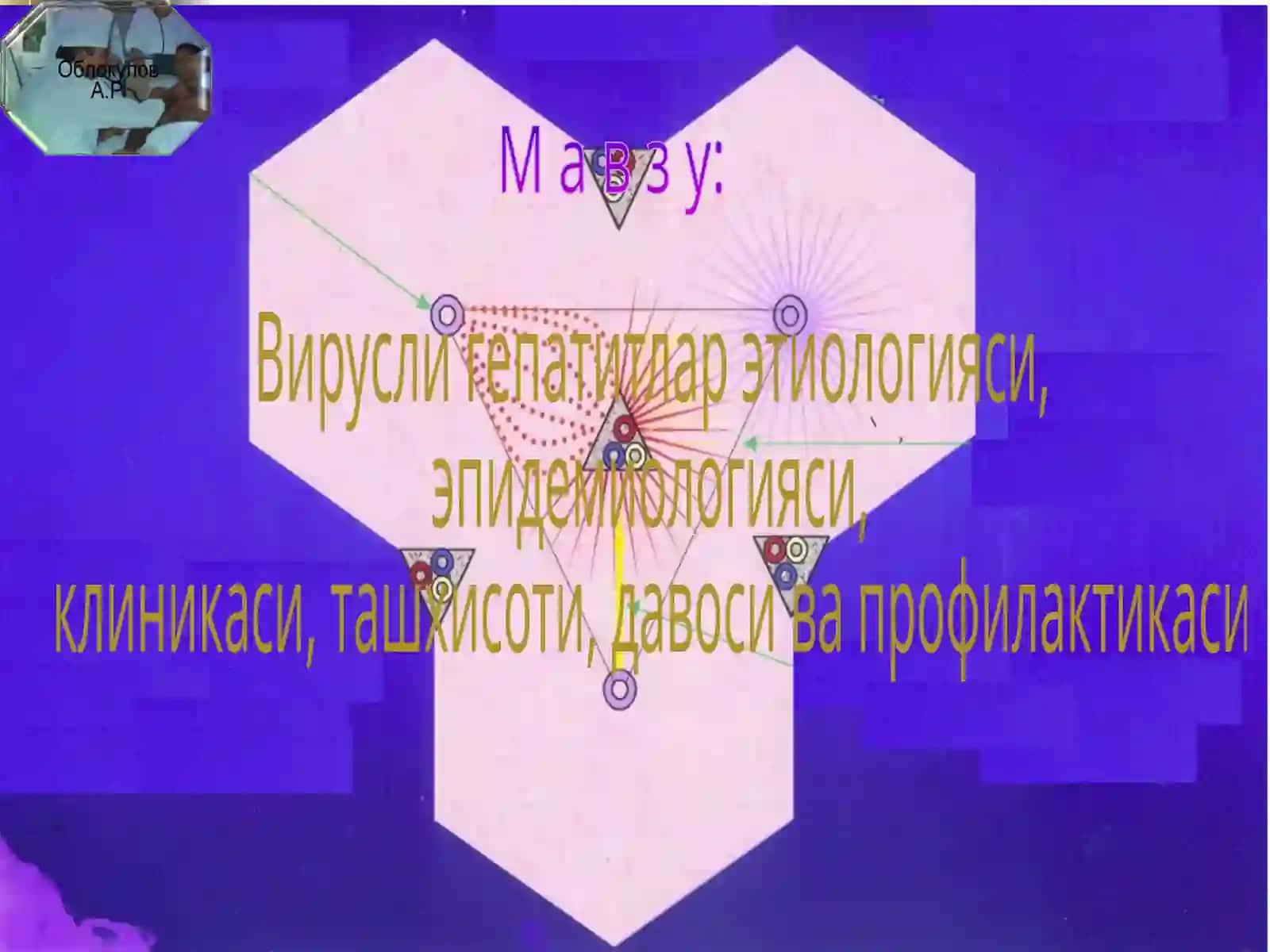 Вирусли гепатитлар 2