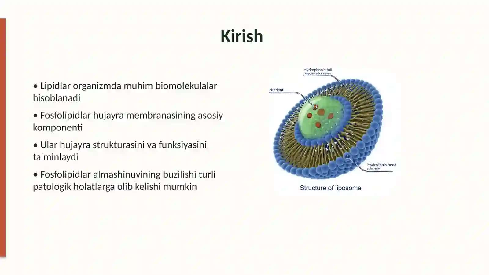 Fosfolipidlar almashinuvining buzilishi 2