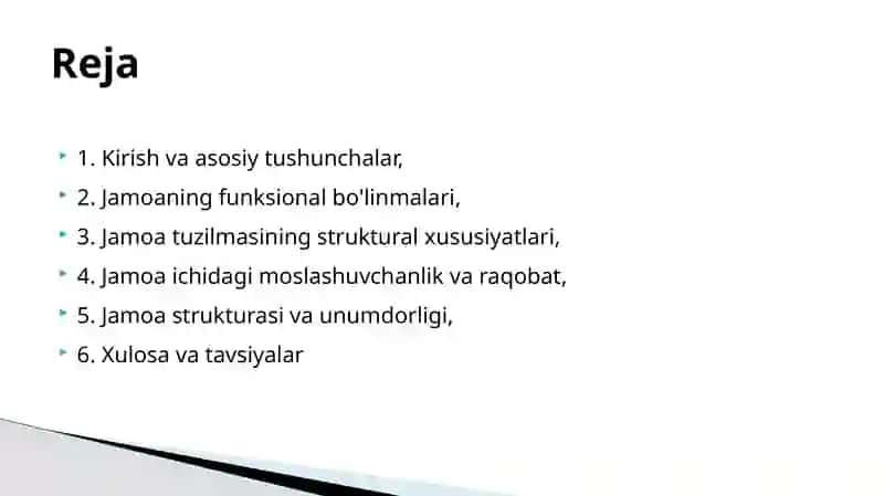 Jamoaning funksional tuzilish va strukturasi 2