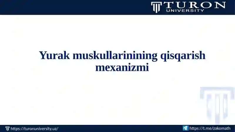 Yurak muskullarining qisqarish mexanizmi 2