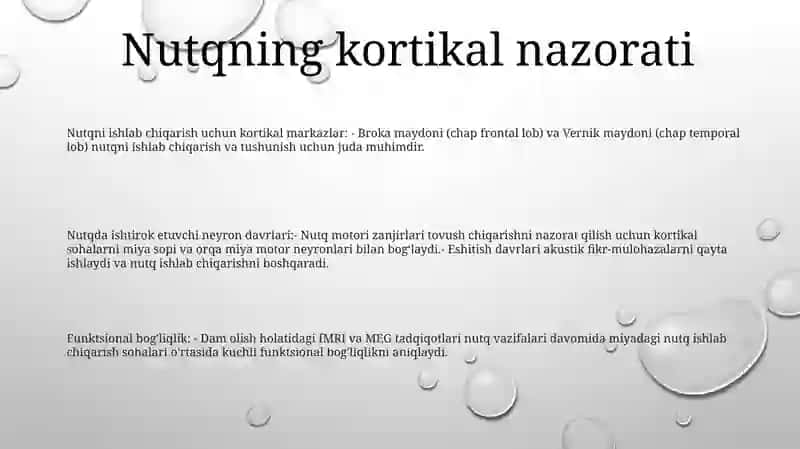 Nutqning Neyrofiziologik Mexanizmlari 2