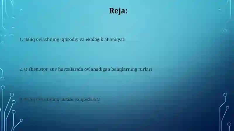 O'zbekiston suv havzalarida ovlanadigan baliqlar 2