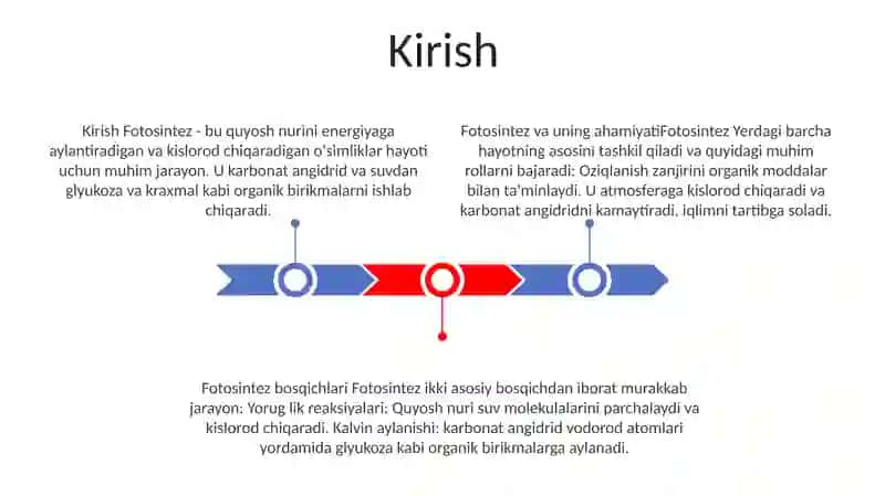 Fotosintez Va Uning Mohiyati 2