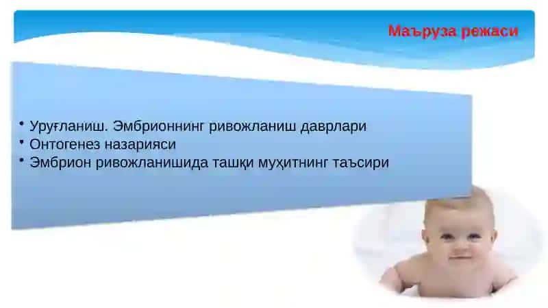 Embriogenez bosqichlari 2