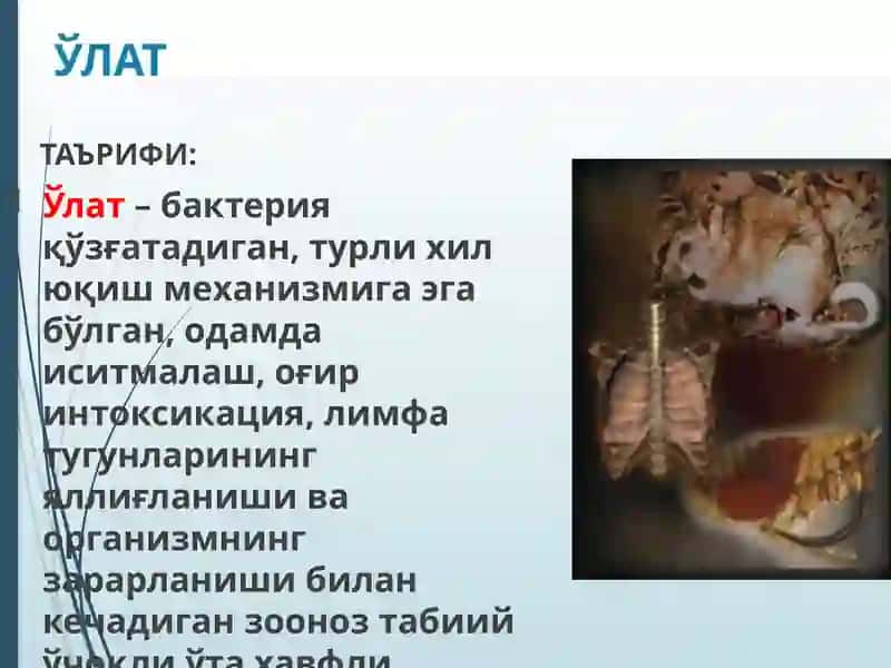 УЛАТ 2