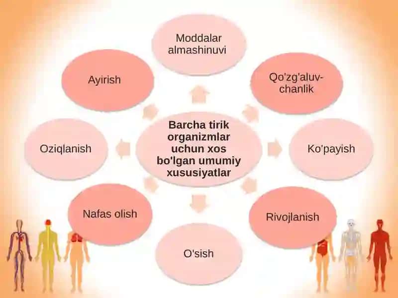 Hujayra va organizmning hayotiy xossalari 2