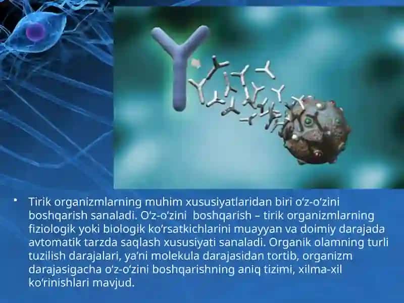 Tirik organizmlar o‘z-o‘zini idora etish organlari 2