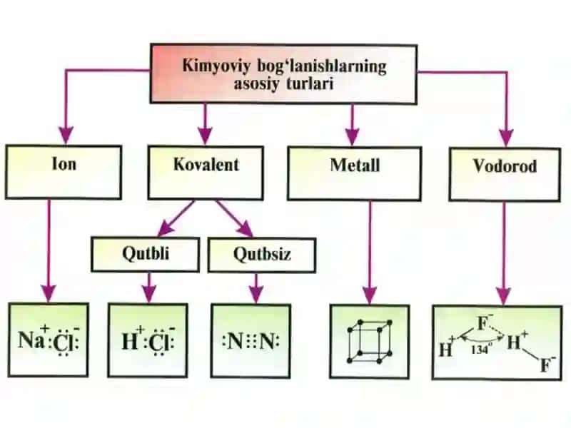 Bog'larning turlari organik reaksiyalardagi oraliq zarralar 2