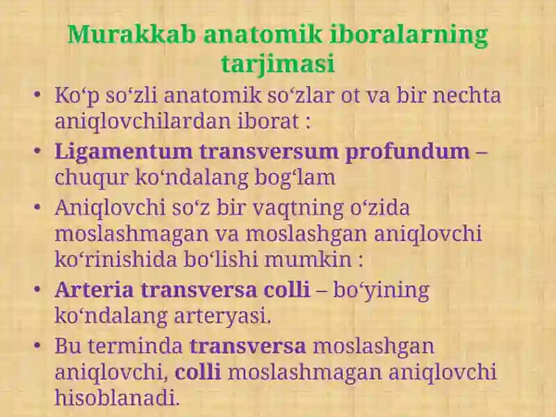Murakkab anatomik iboralarning tarjimasi 2