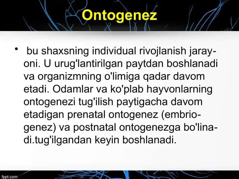 Nerv sistemasi ontogenezi 2