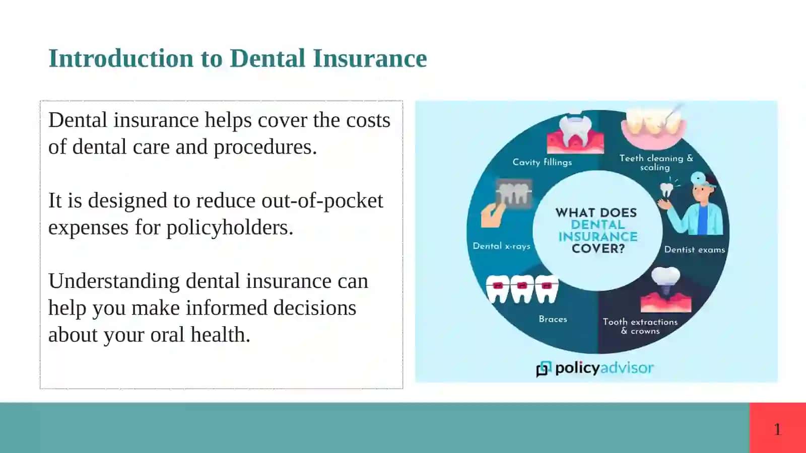 Dental Insurance And Fees 2