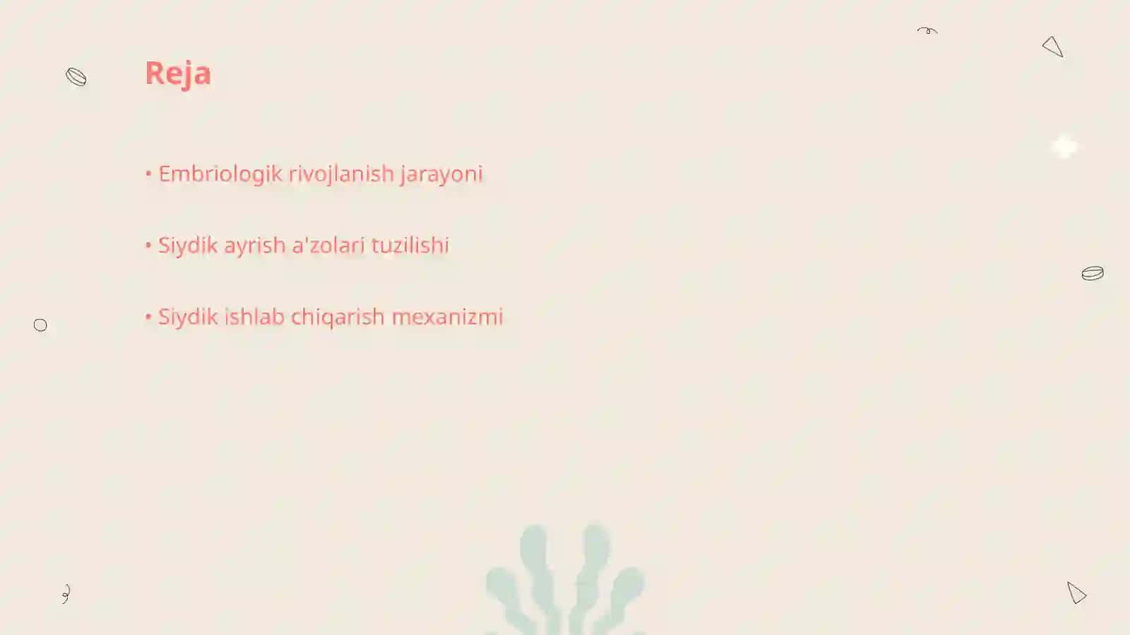 Siydik ayrish a'zolarining rivojlanish bosqichlari 2