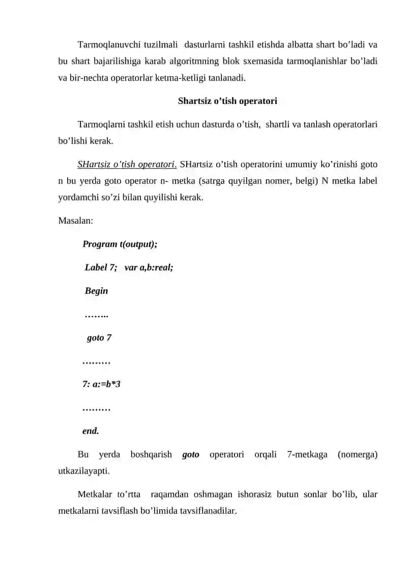 Tarmoqlanuvchi hisoblash jarayonlarini algoritmlash va dasturlash 2