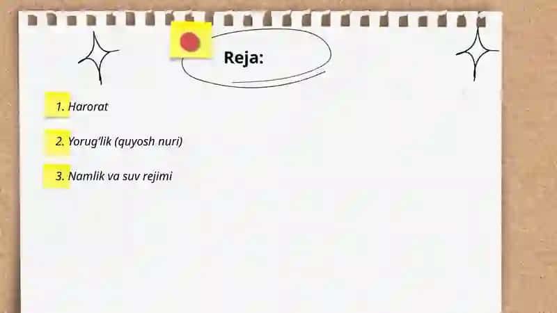Abiotik omillar 2