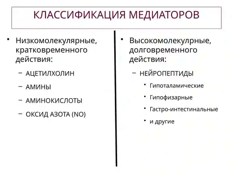 НЕЙРОМЕДИАТОРЫ 2
