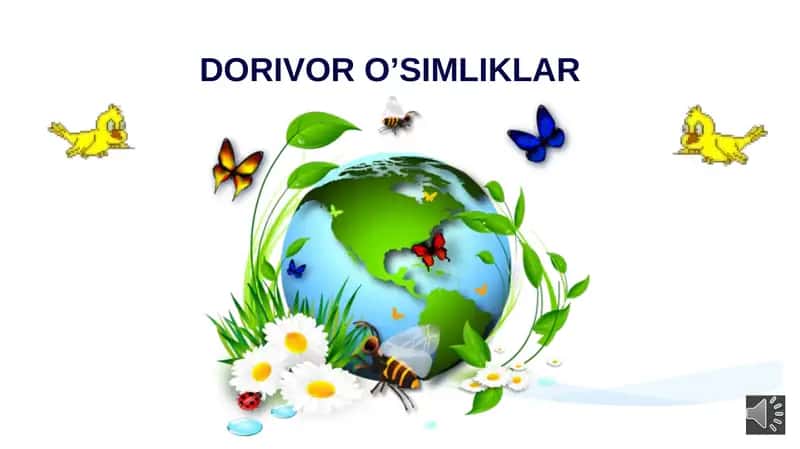 Dorivor o’simliklar 2