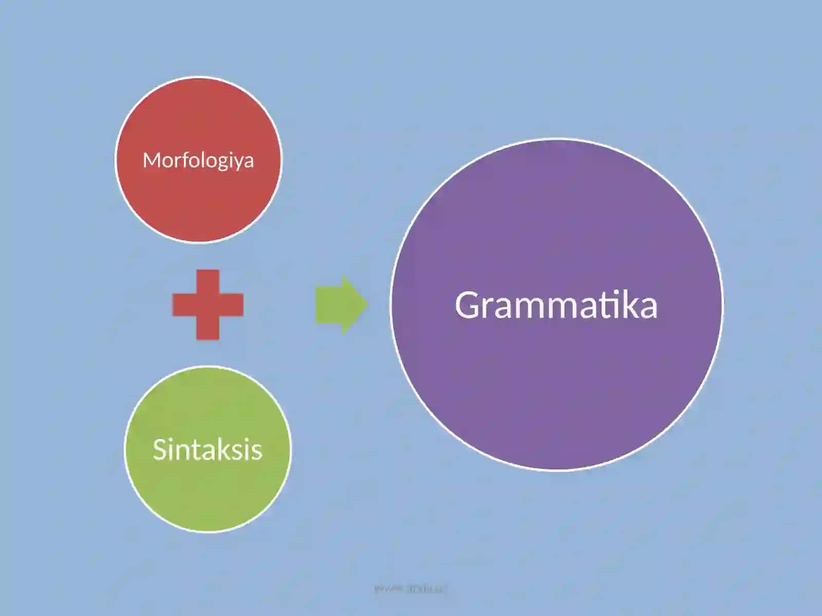Grammatika haqida umumiy ma’lumot 2