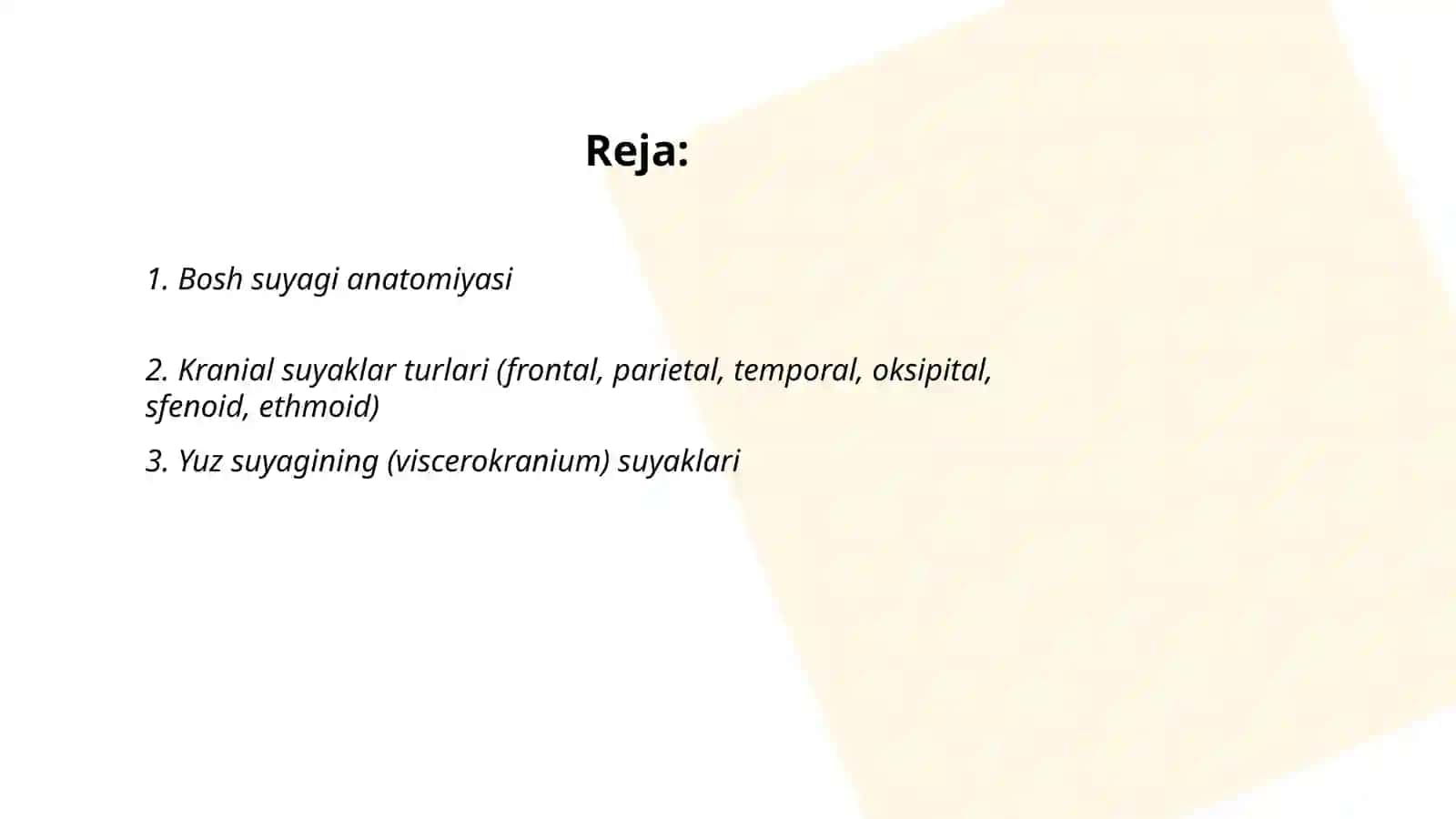Bosh suyagi anatomiyasi 2