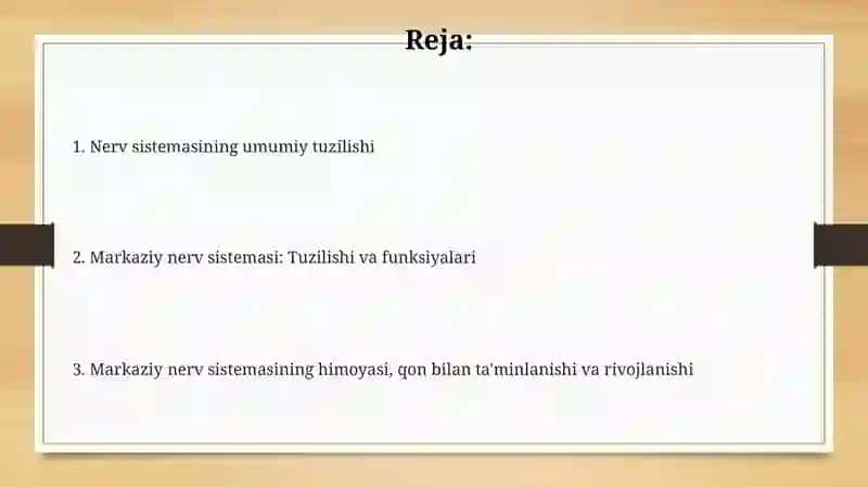Nerv sestemasi 2