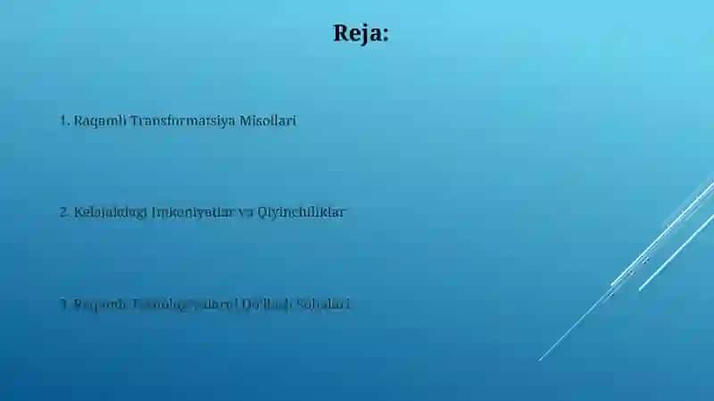 Raqamli Transformatsiya Misollari 2