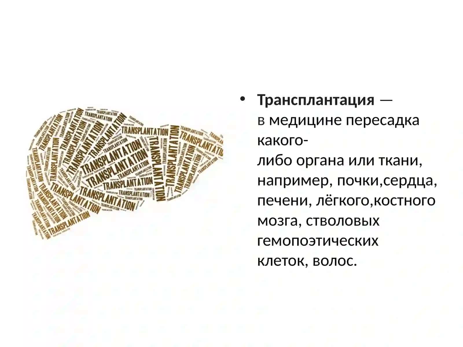 Трансплантация печени 2