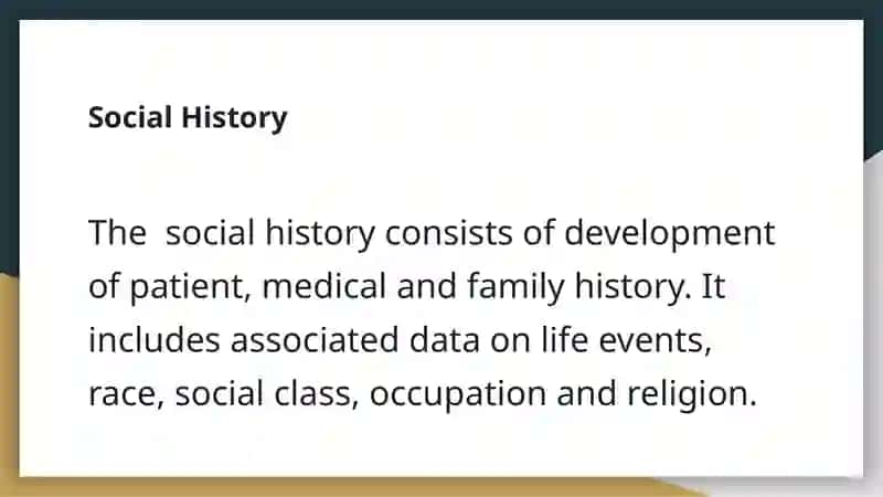 Social History 2