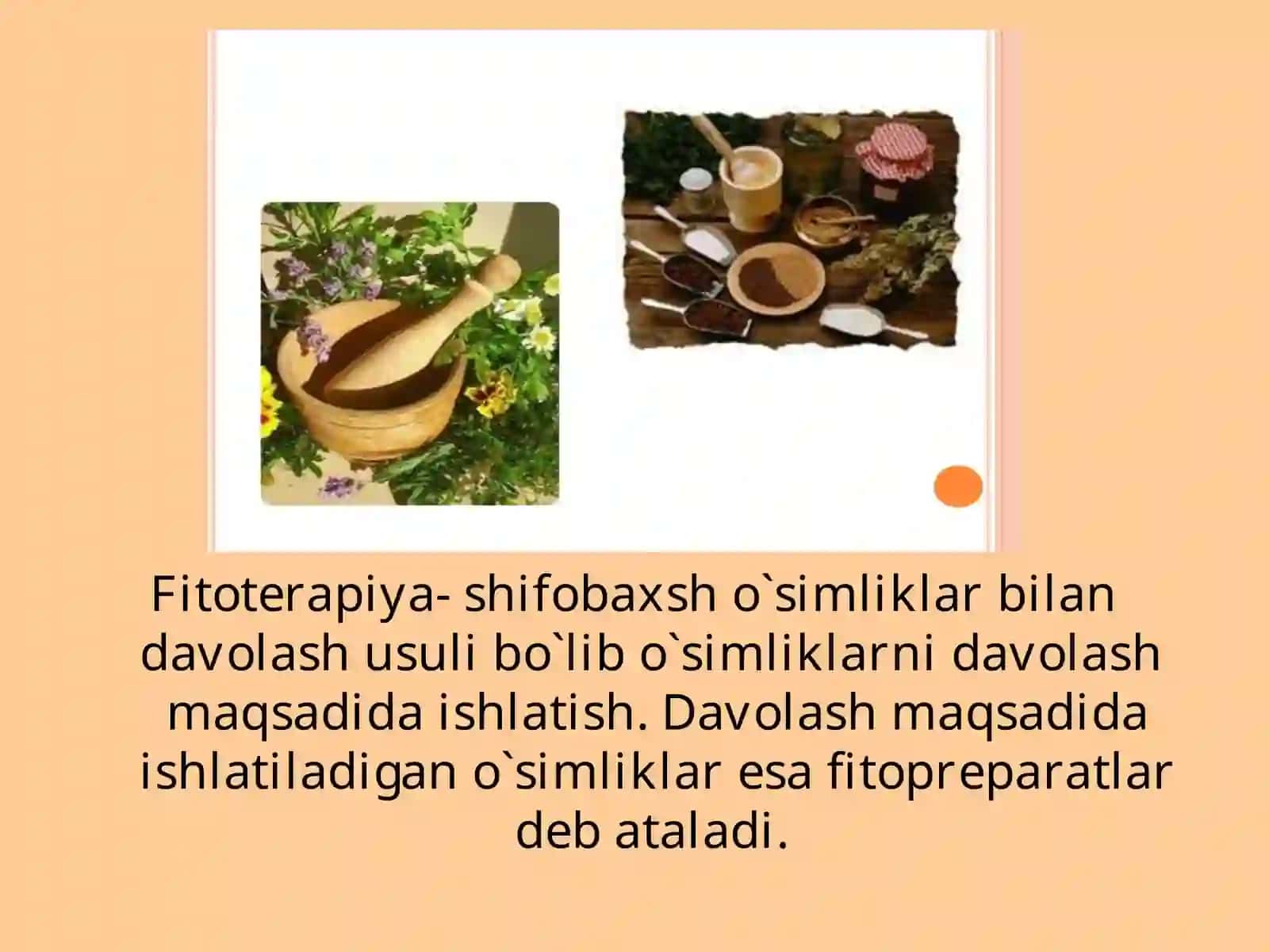 FITOPREPARATLAR VA ULARNING QO`LLANILISHI 2