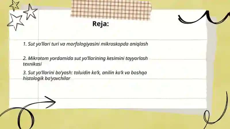 Sut yo’llari morfologiyasi 2