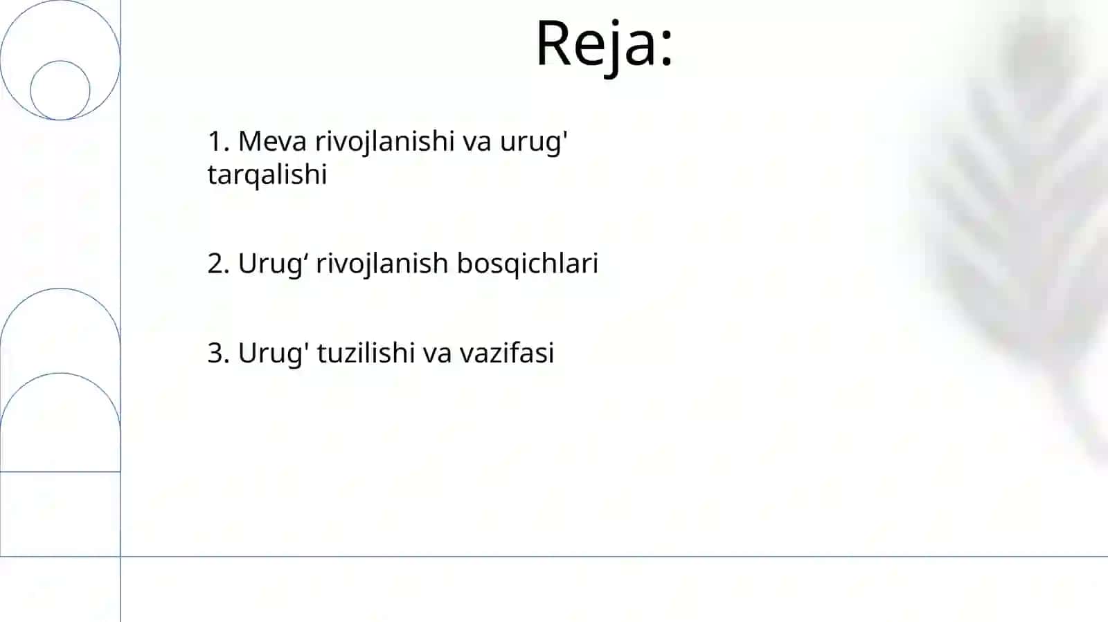 Urugʻ va meva Urugʻning rivojlanishi 2
