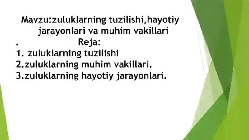 Zuluklar (Hirudinea) 2