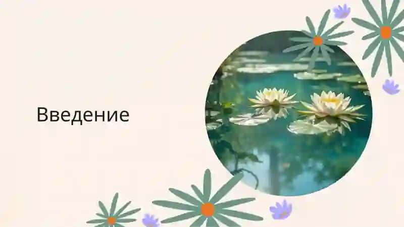 Эвгленовые водоросли 2