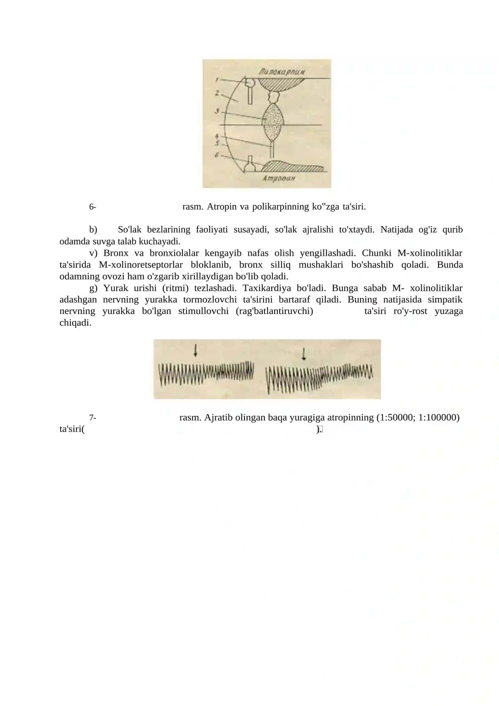 MA'RUZA-10 Belladona, bangidevona, mingdevona o'simlik preparatlari 2