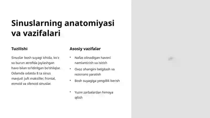 Burun yon bo'shliqlari (Sinuslar): Tuzilishi, kasalliklari va davolash 2